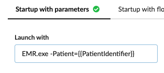 Path to the application and the arguments