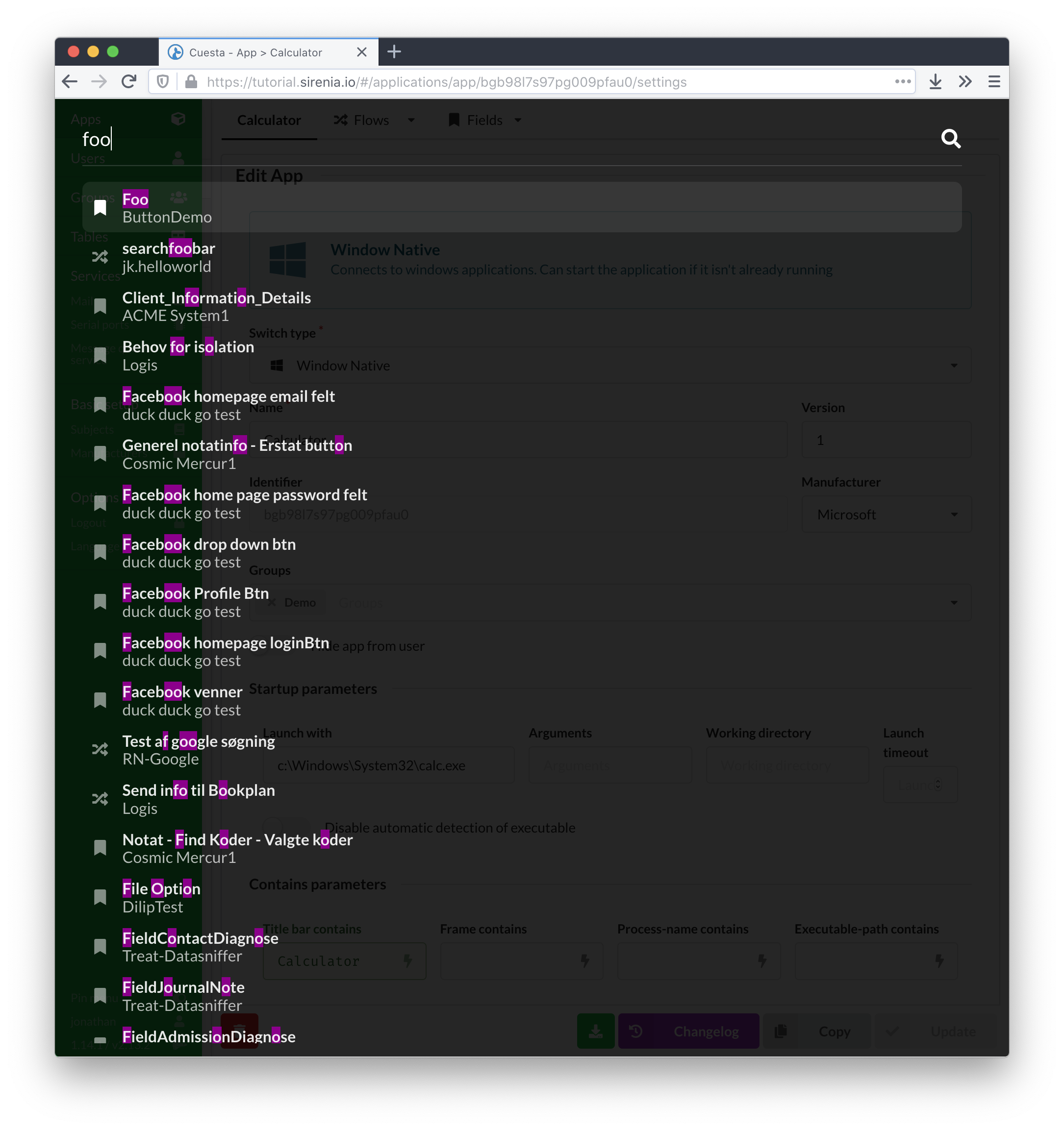 The global search view