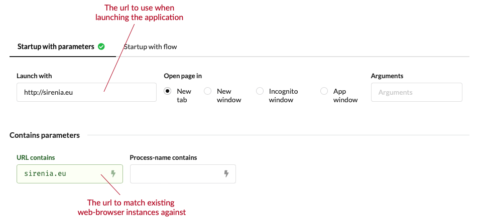 WebApplication details