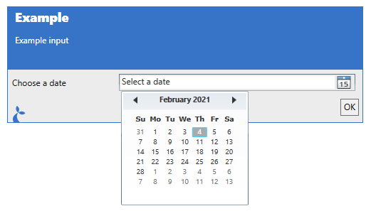 Example of a date input